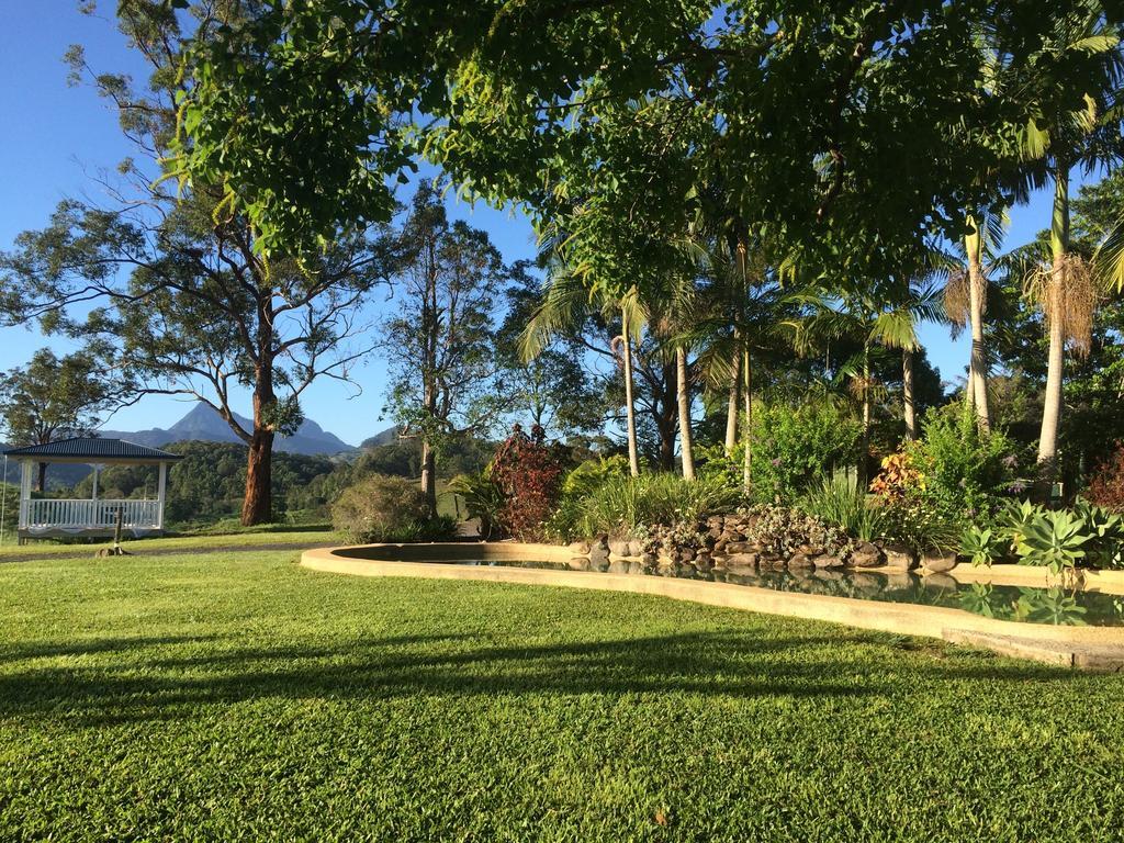 Hillcrest Mountain View Retreat Bed & Breakfast Crystal Creek Bagian luar foto